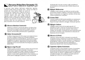 mappa_alpina_r