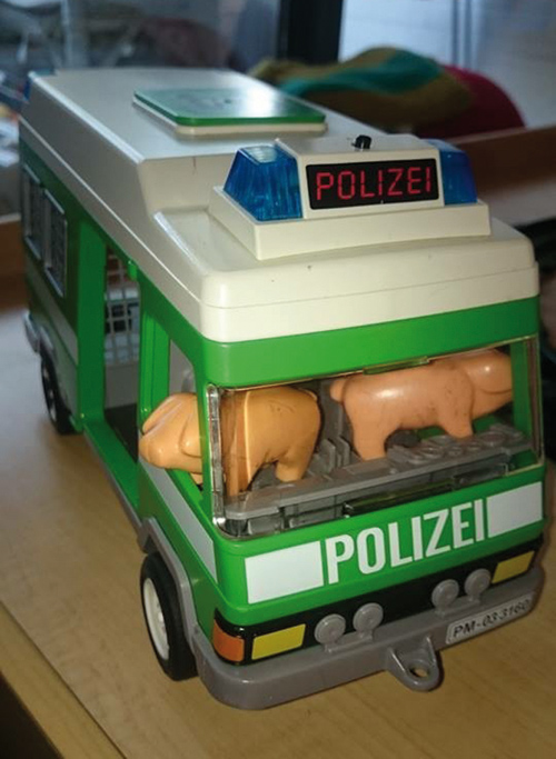 Bullenschweine