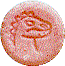 dino
