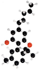 molecola di THC
