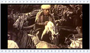 pastori orgosolo 1958