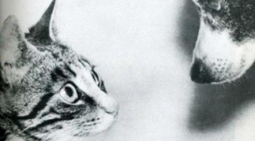 weird-pics-from-the-past-part3-9