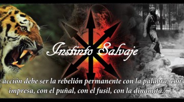 cropped-banner