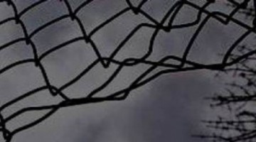cropped-fence17