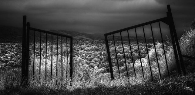 open_gates_by_eccentricphotography-d3ioll1