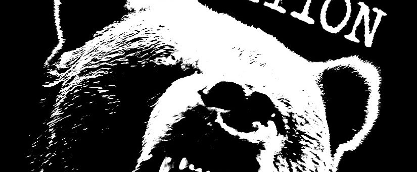 grizzlyanimallib