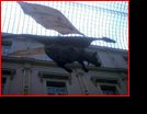 Drago con Mucca