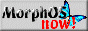 Get MorphOS now!!!