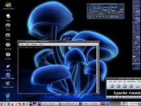 Thunder Desktop 1
