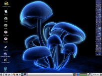 Thunder Desktop 2