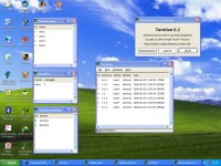 TurnGen on Windows