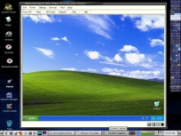 WindowsXP on VMware