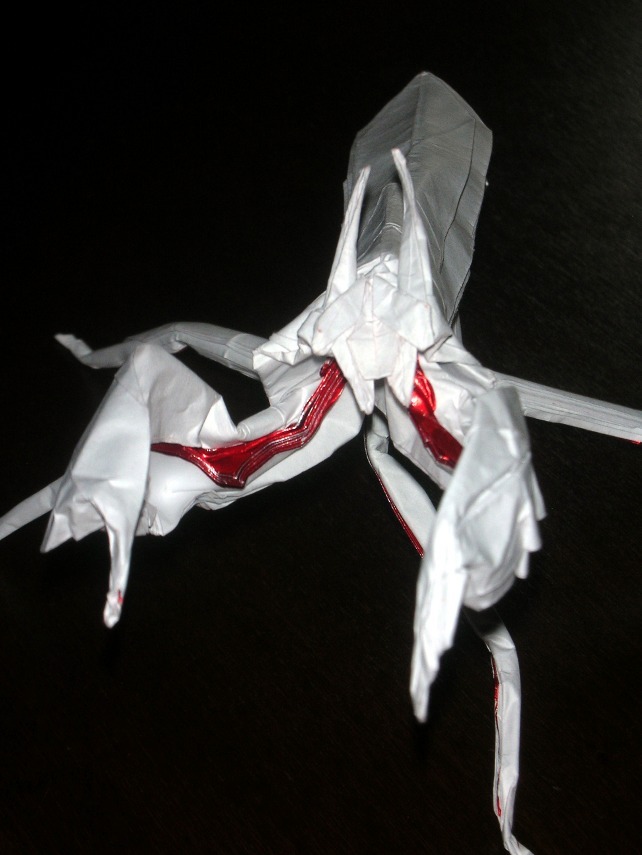 boxer_mantis_sirgo-3.jpg