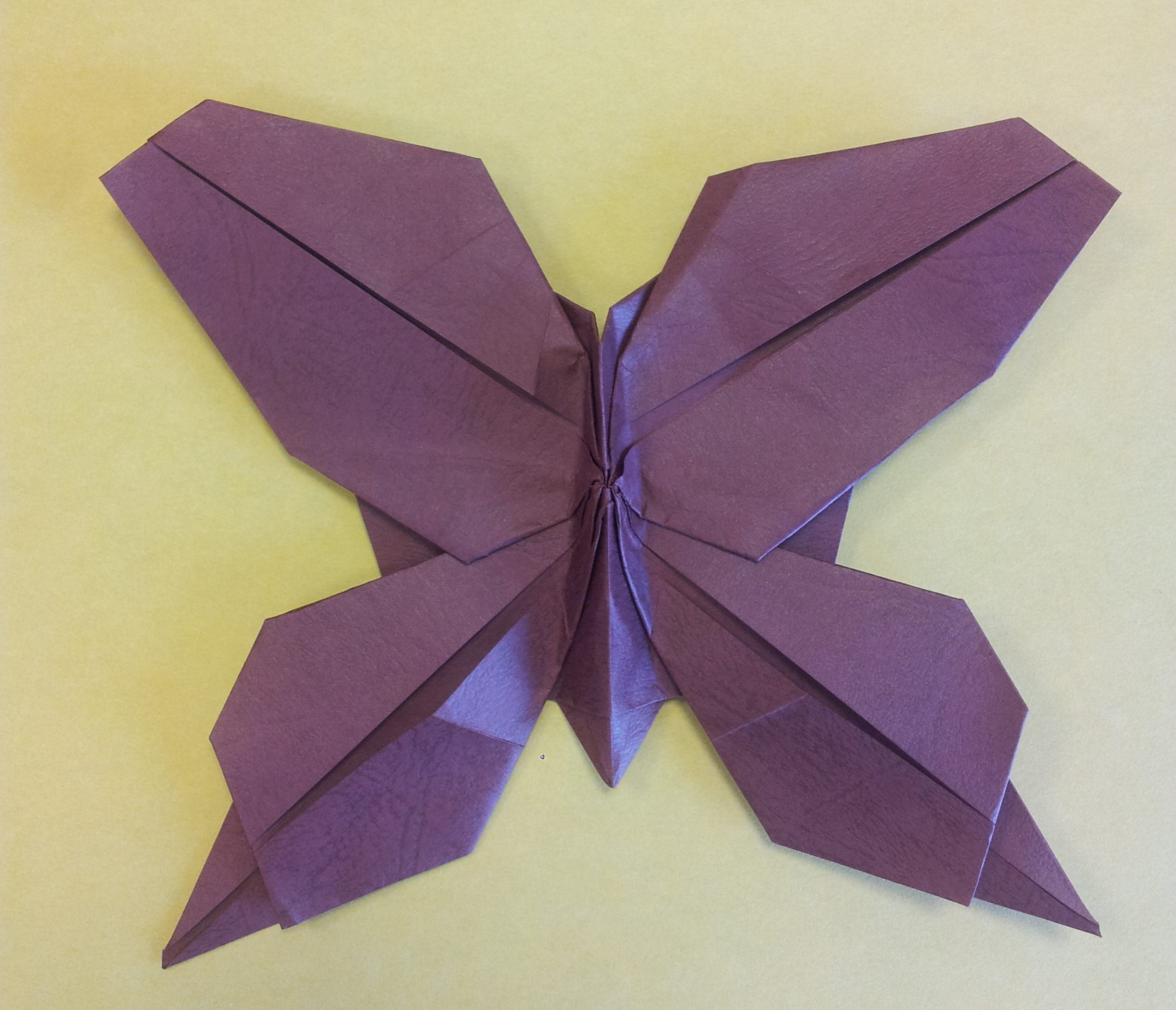 butterfly-makoto-yamaguchi.jpg