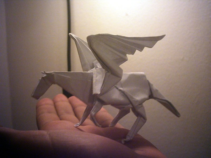 pegasus_kamiya.jpg