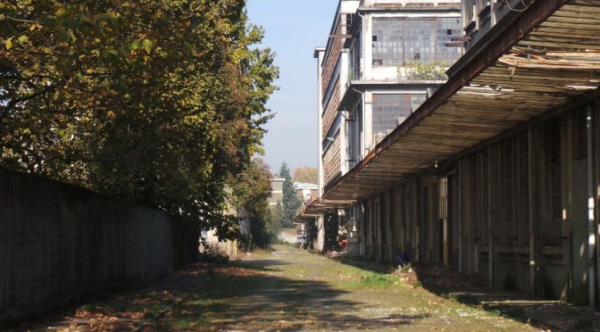 AREE DISMESSE AL SETACCIO NEL BASSO VARESOTTO