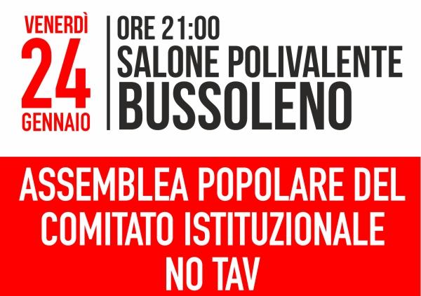24 gennaio 2014. Assemblea del Comitato istituzionale