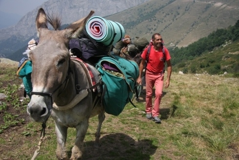 23 marzo – Passeggiata lungo il Cammino Biodiverso con asini e muli