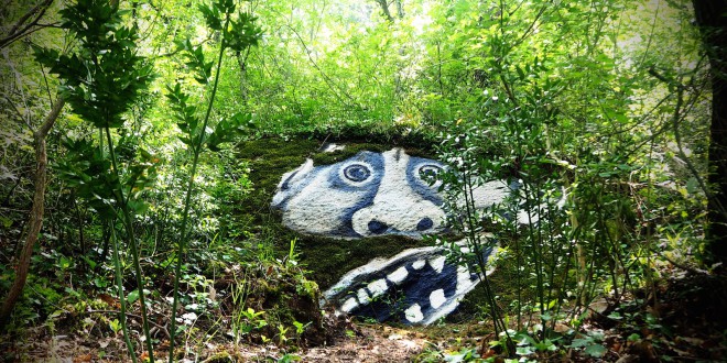 14 giugno. Inaugurazione BOSCODELLEMERAVIGLIE il “parco emozionale” della Val di Susa