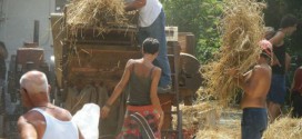 31 luglio. Festa della Trebbiatura con Genuino Valsusino